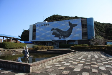 太地町立くじらの博物館
