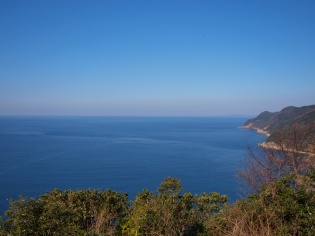 海