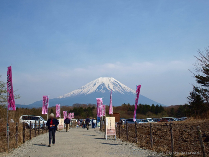 富士芝桜まつり会場