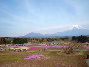 展望台から
